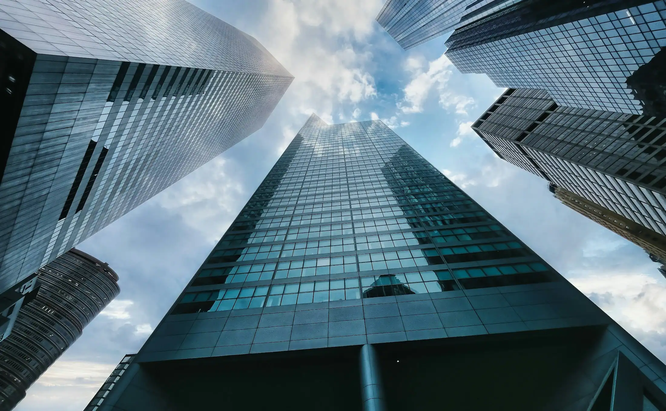 citi finanšu mājas lapas dizains bambar capital