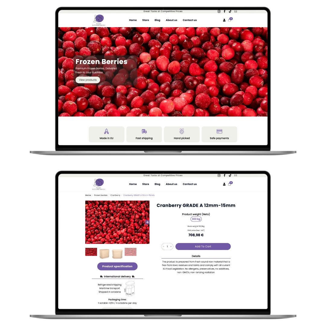 Frozenberries darbvirsmas portfolio skats